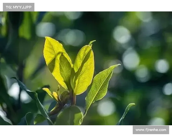 阿尔巴深情告别绿茵坦言已倾尽所有迎接人生全新旅程 阿尔巴深情告别绿茵坦言已倾尽所有迎接人生全新旅程